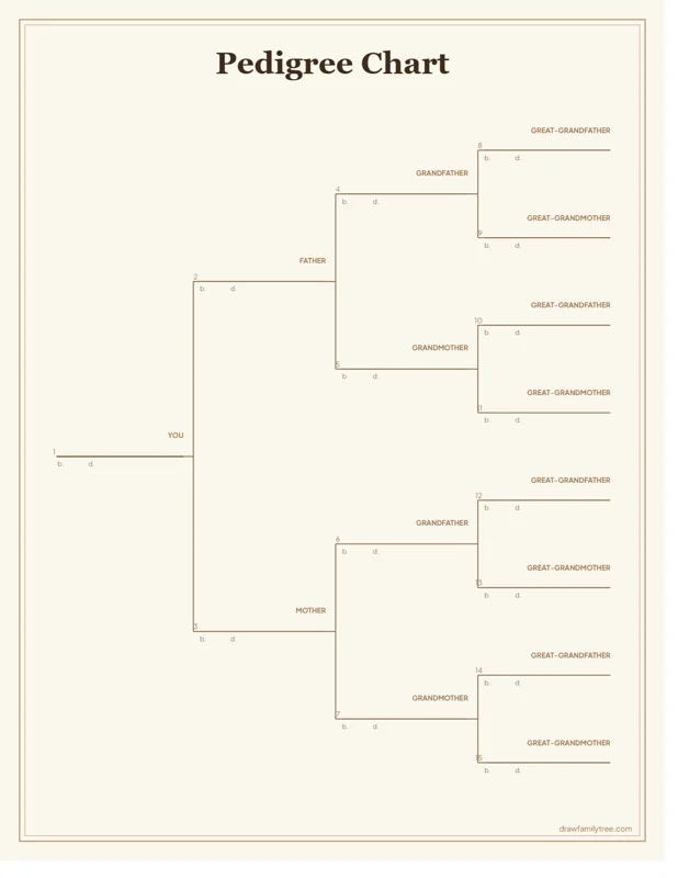 4-generation pedigree chart template preview