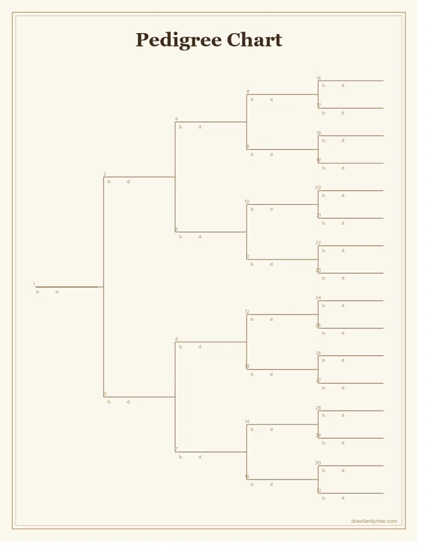 5-generation pedigree chart template preview